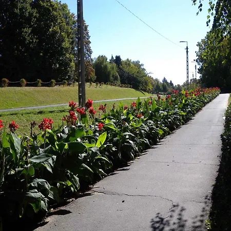 아파트 In 38691 잘라카로쉬